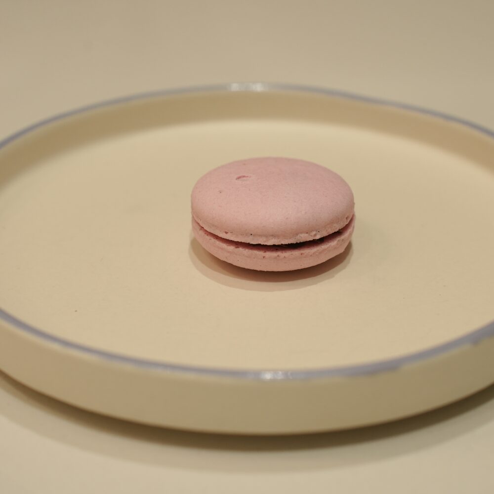 88 Nutella Macaron Le Fou Delights Vadodara