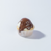 Boston Cream Cupcake in Vadodara with vanilla sponge, custard filling, Chantilly cream, and chocolate topping by Le Fou Delight